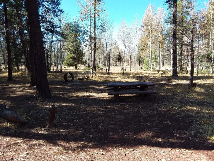 Campsite 36 partially shaded with picnic table and campfire ring