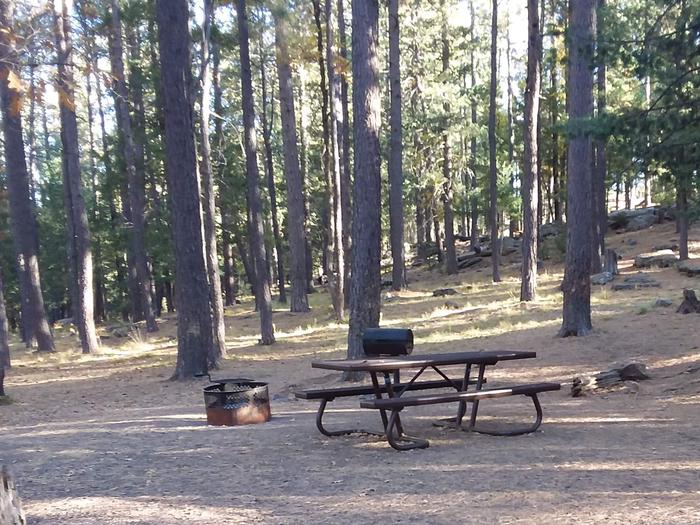 Site 13 with a picnic table, campfire ring, camp grill, and parking.