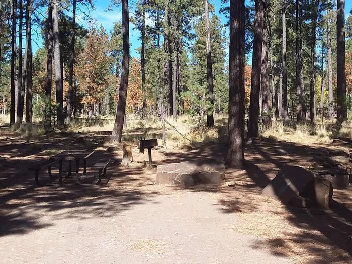 Site 117 with shade over the table and grill with background trees.Campsite 117