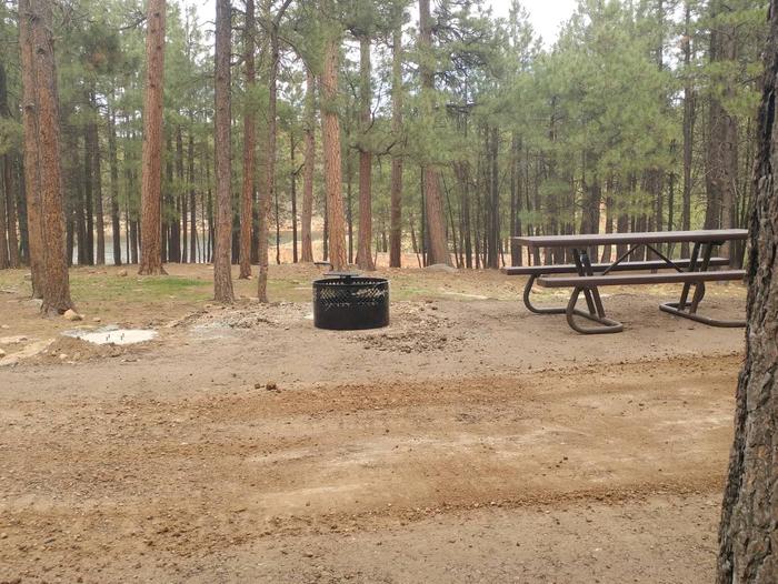 Site 21 with view of Woods Canyon Lake, a picnic table, fire ring, and parking.