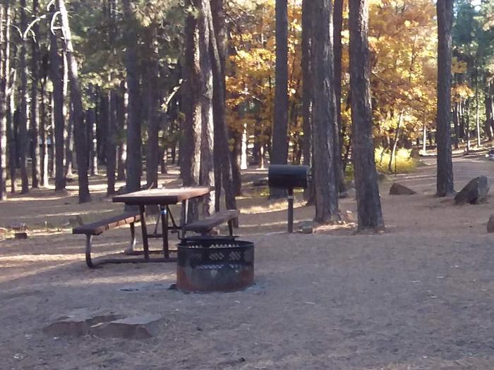 Site 22 with a camp picnic table, camp grill, fire ring, and parking.