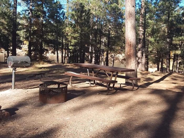 Site 24 with a picnic table, campfire ring, camp grill, and parking.