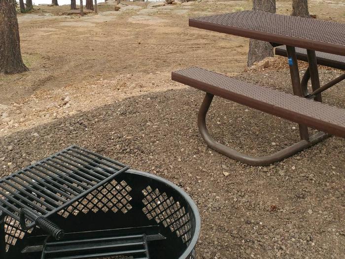 Site 25 with a picnic table, fire ring, and parking.
