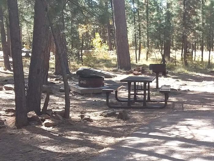Site 124 with a campfire ring, table and grill next to and in front of trees.Campsite 124 