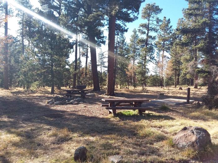 Campsite GS1 (Large Group) partially shaded with picnic tables, grill, water spout and campfire pit