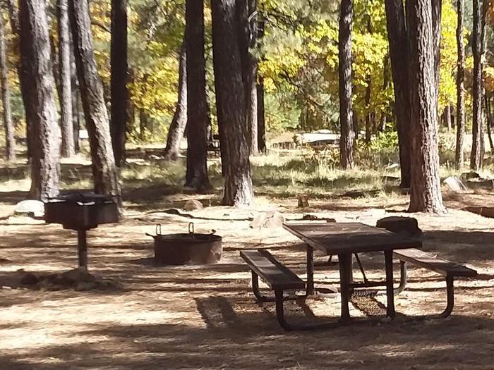 Site 128 in the middle of trees with a grill, fire ring, and table. Campsite 128