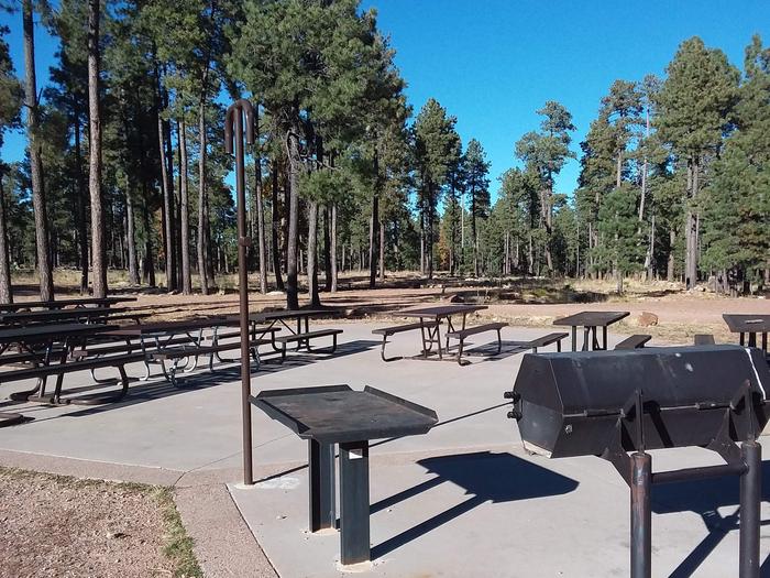 Group picnic area with multiple picnic tables, large camp grills, and lantern poles.
