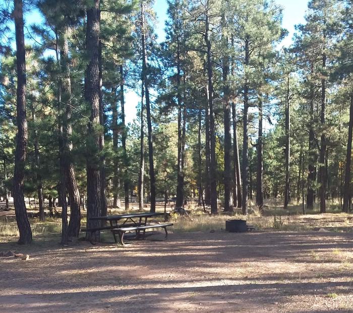 Camp host site with a picnic table, parking area, and fire ring.
