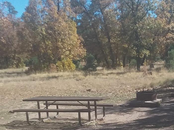 Site 134 table and fire ring in an area next to treesCampsite 134