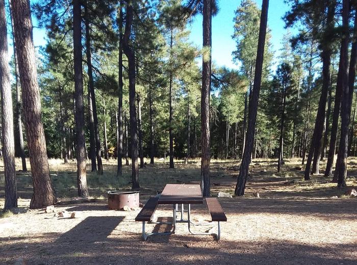 Site 10 with picnic table, fire ring, and parking.