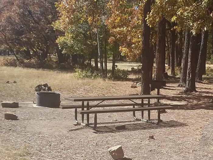 Site 135 with bench and fire ring next to a group of treesCampsite 135