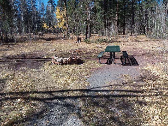 Rainbow Campground Campsite 045 Loop C: shows table and stone fire pit Rainbow Campground Campsite 045 Loop C