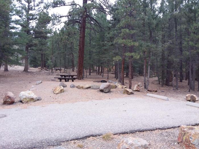 Site 1 with a picnic table, fire ring, and parking.