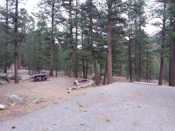 Site 3 with a picnic table, a fire ring, and parking area.