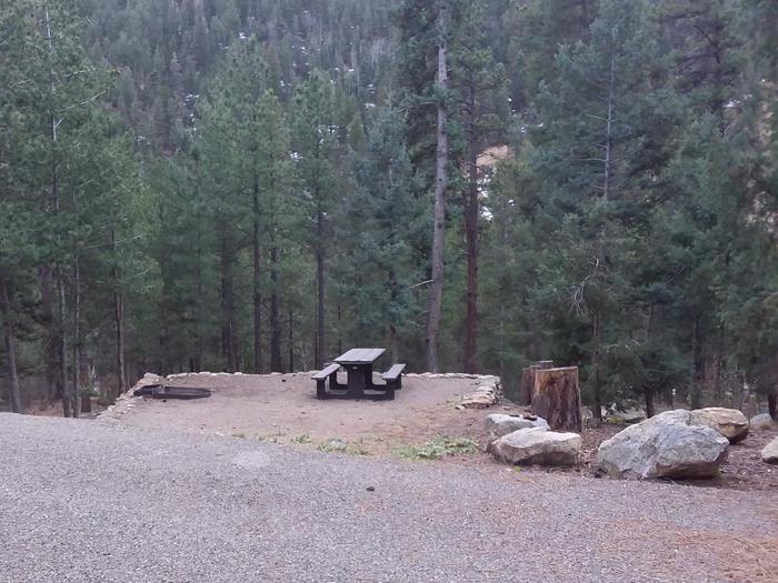 Site 4 with parking, a fire ring, and picnic table.