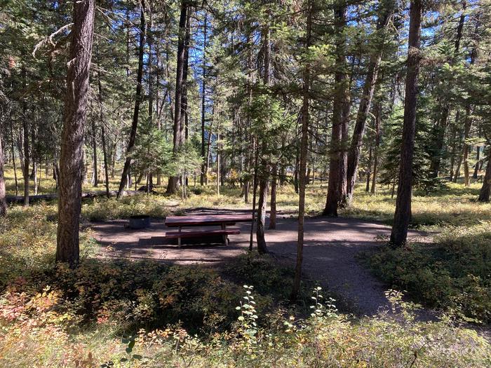 A photo of Site 010 of Loop B - LARC at HOLLAND LAKE CAMPGROUND with Picnic Table, Fire Pit, Tent Pad