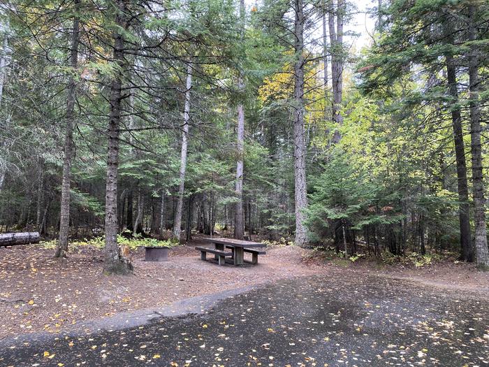 A photo of Site 019 of Loop POND at SWAN LAKE CAMPGROUND with Picnic Table, Fire Pit