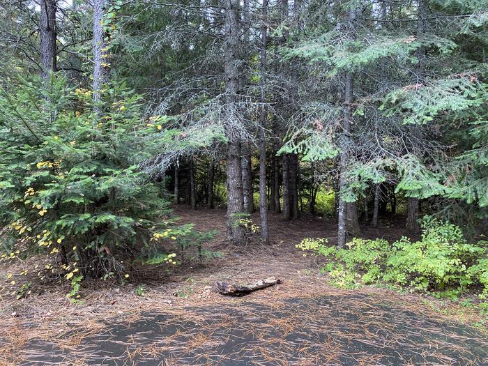 A photo of Site 020 of Loop POND at SWAN LAKE CAMPGROUND with Shade, Tent Pad