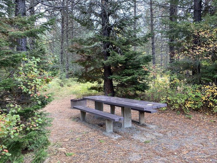 A photo of Site 028 of Loop POND at SWAN LAKE CAMPGROUND with Picnic Table, Fire Pit