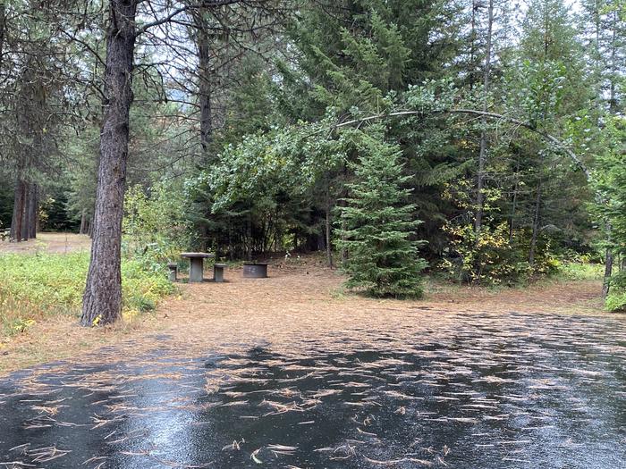 A photo of Site 031 of Loop POND at SWAN LAKE CAMPGROUND with Picnic Table, Fire Pit