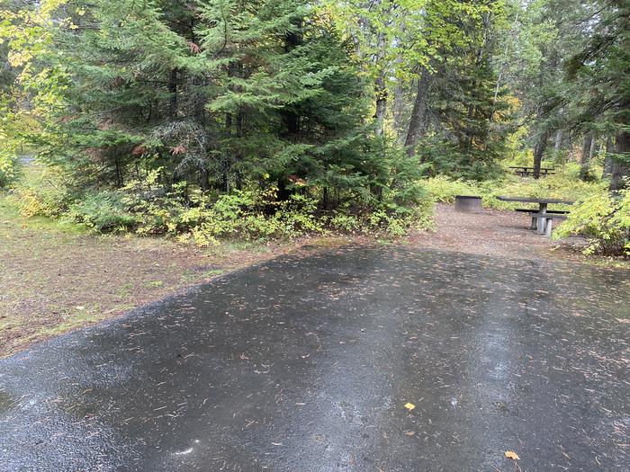 A photo of Site 009 of Loop BIRC at SWAN LAKE CAMPGROUND with Picnic Table, Fire Pit