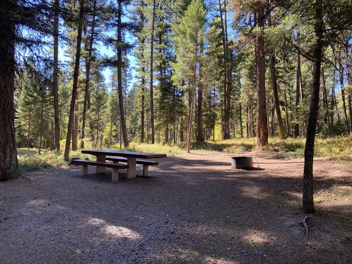 A photo of Site 009 of Loop B - LARC at HOLLAND LAKE CAMPGROUND with Picnic Table, Fire Pit, Tent Pad