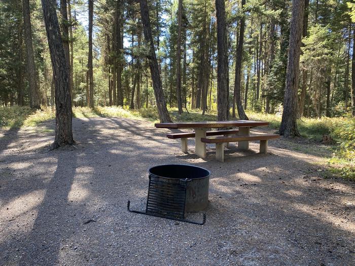 A photo of Site 011 of Loop B - LARC at HOLLAND LAKE CAMPGROUND with Picnic Table, Fire Pit, Tent Pad