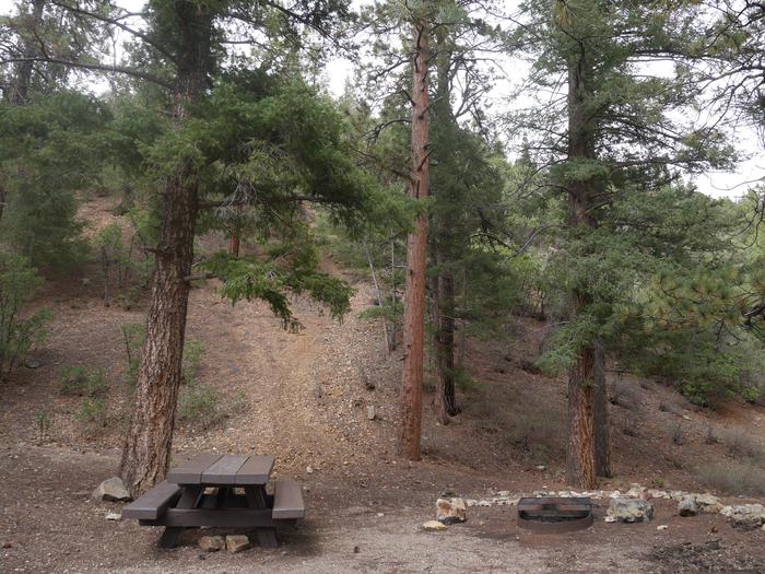 Site 11 with a picnic table, campfire ring, and parking.