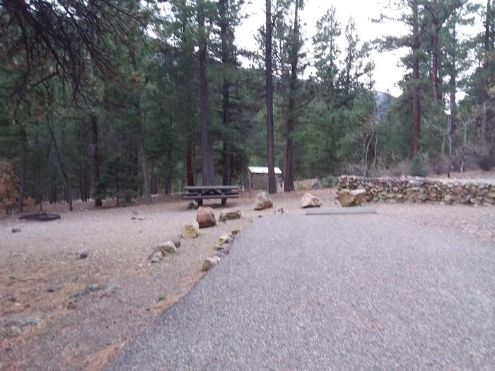 Site 12 with parking, campfire ring, and picnic table.