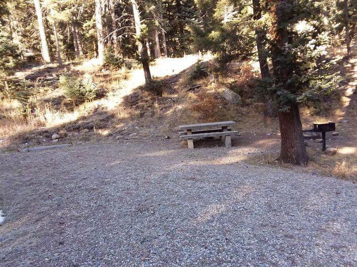 Site 13 with table and grill with many trees and gravel. Campsite 13 at Santa Barbara