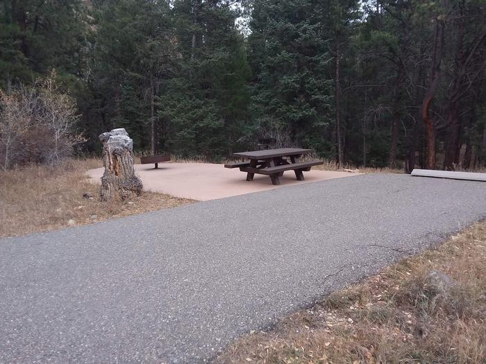 Site 4 with a picnic table, campfire ring, parking, and a camp grill.