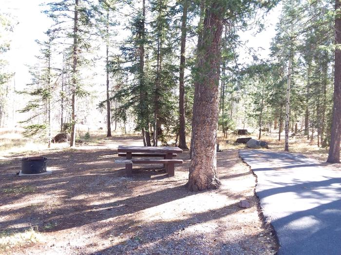 Rainbow Campground Campsite 082 Loop C: picnic table, fire pitRainbow Campground Campsite 082 Loop C