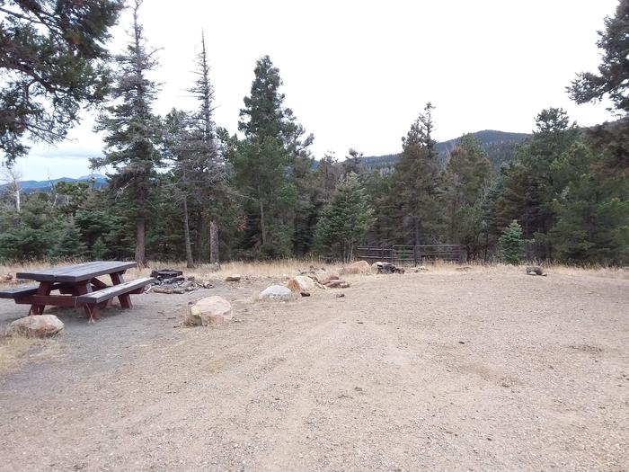 Loop A Equestrian Campsite 4 with picnic table, fire pit, and mountainous views