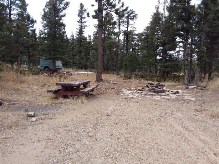 Loop A Campsite 2 surrounded by Carson Forest with picnic table and fire pit