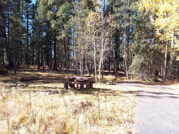Rainbow Campground Campsite 085 Loop C: picnic table, stone fire pitRainbow Campground Campsite 085 Loop C