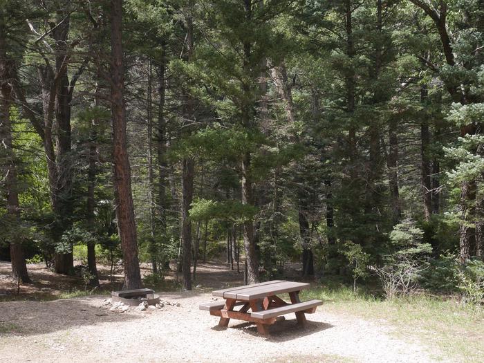 Site 14 with a picnic table, campfire ring, and parking.