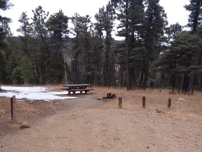 Loop A Campsite 10 with picnic table, fire pit, and mountainous views