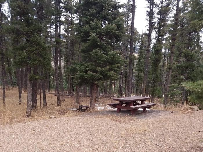 Loop A Campsite 11 surrounded by Carson Forest with picnic table and grillLoop A Campsite 11 Surrounded by Carson Forest with picnic table and grill
