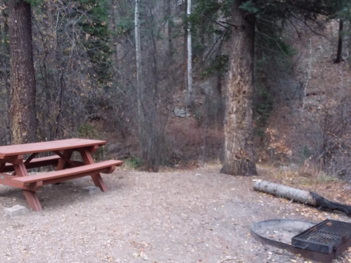 Site 18 with a picnic table, fire ring, and parking.