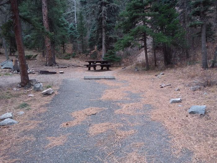 Site 19 with a picnic table, campfire ring, and parking.