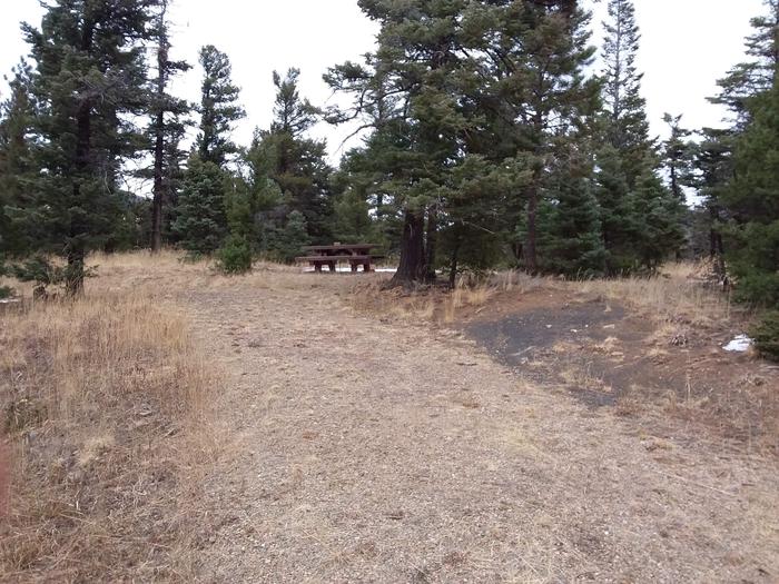 Loop B Campsite 13 surrounded by Carson Forest with picnic table and fire pit
