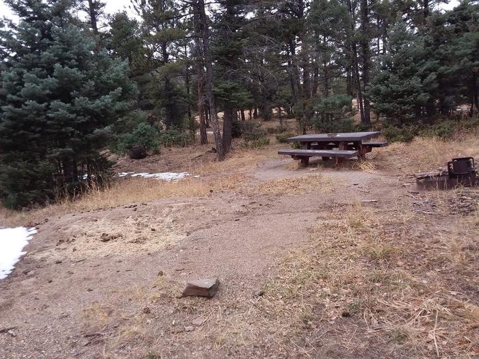 Loop B Equestrian Campsite 14 surrounded by Carson Forest with picnic table, campfire ring and grill