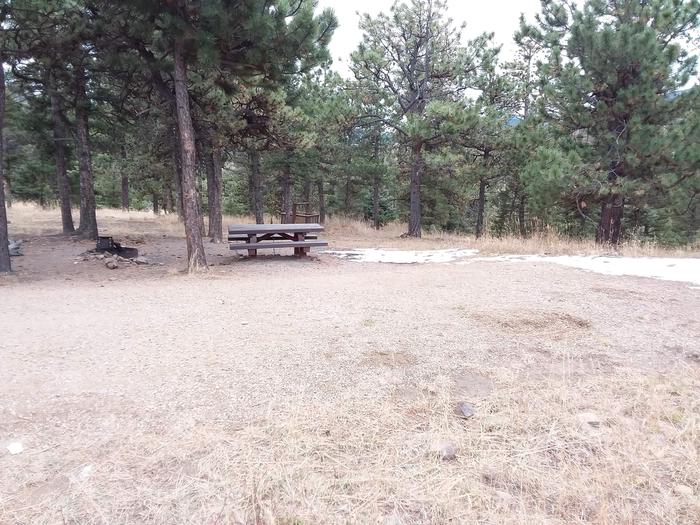 Loop B Equestrian Campsite 16 surrounded by Carson Forest with picnic table and fire ring