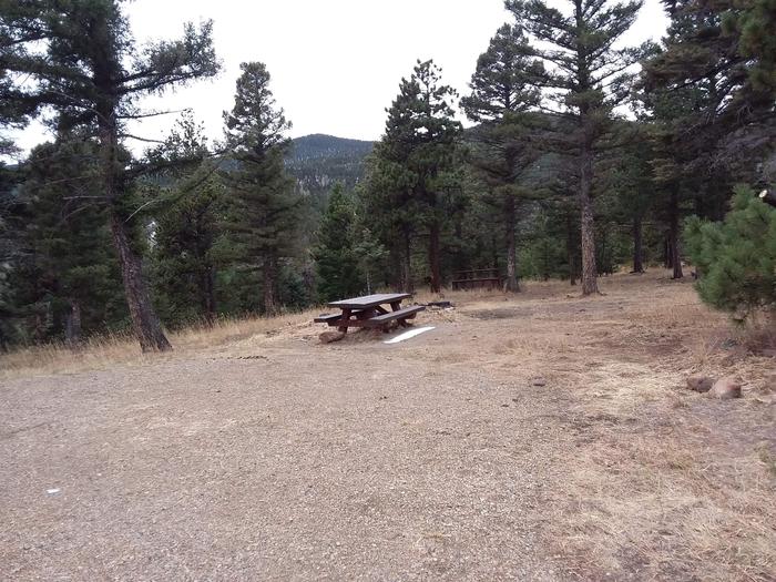 Loop B Equestrian Campsite 18 with picnic table, fire pit and mountainous views