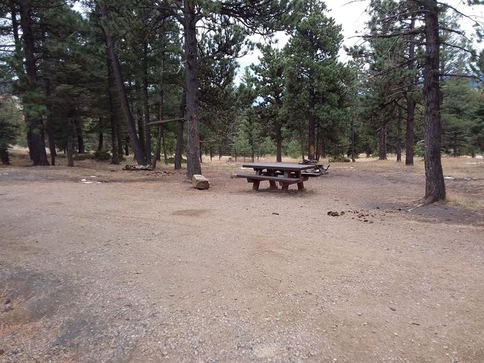 Loop B Equestrian Campsite 19 with picnic table and fire pit