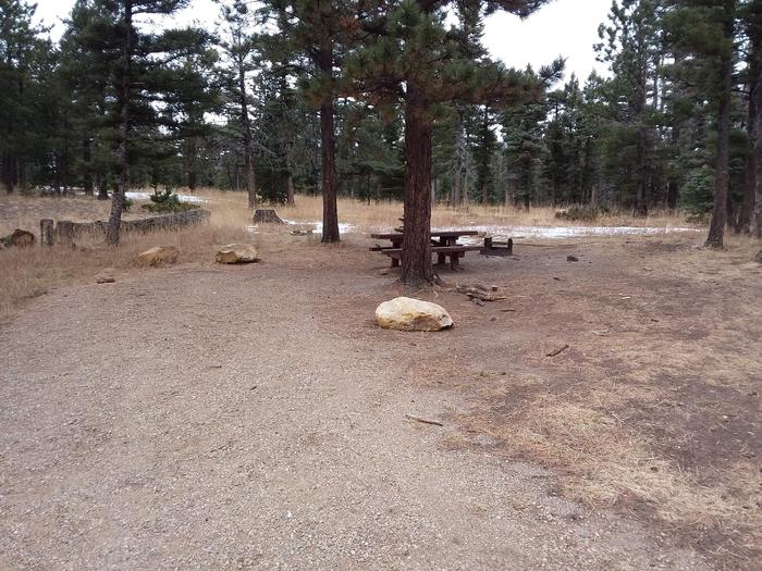 Loop B Campsite 20 with picnic table and grill