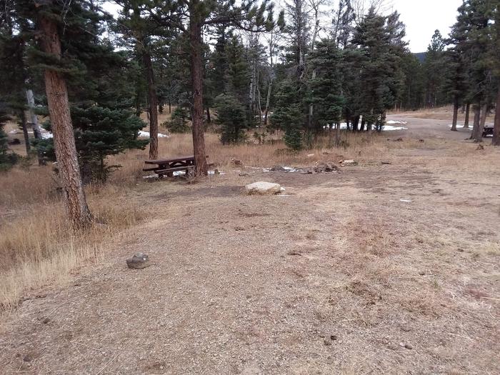 Loop B Campsite 21 with picnic table and fire ring