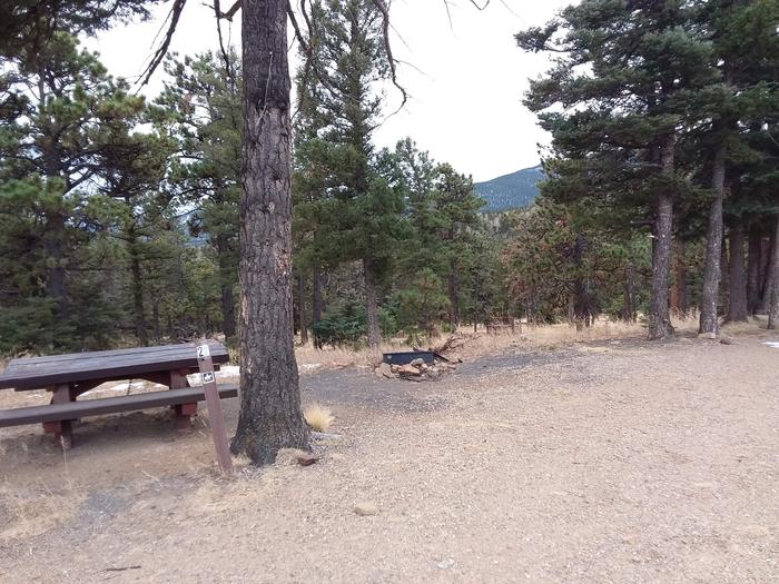 Loop B Campsite 22 with picnic table, fire pit and mountainous views