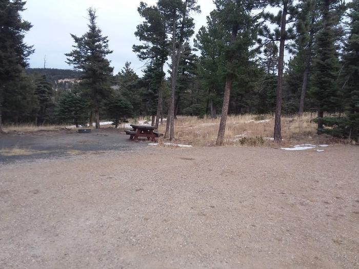 Loop B Equestrian Campsite 24 with picnic table, fire ring and mountainous views