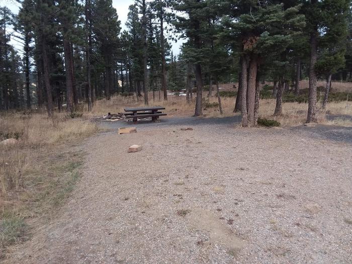 Loop B Campsite 30 with picnic table, fire pit and mountainous views